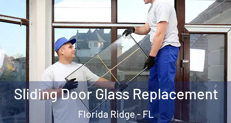  Sliding Door Glass Replacement Florida Ridge - FL